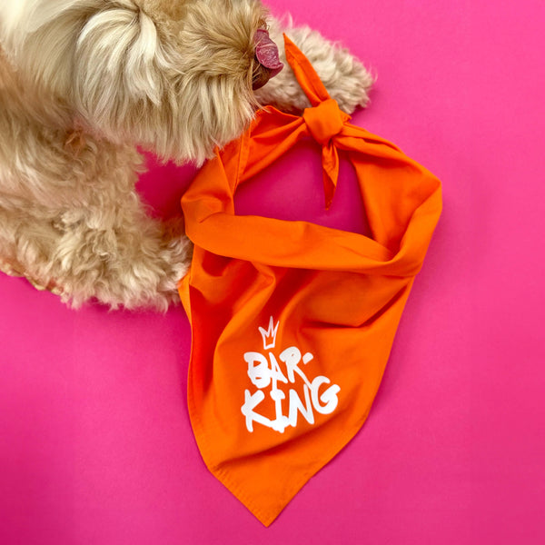 Koningsdag oranje bandana hond