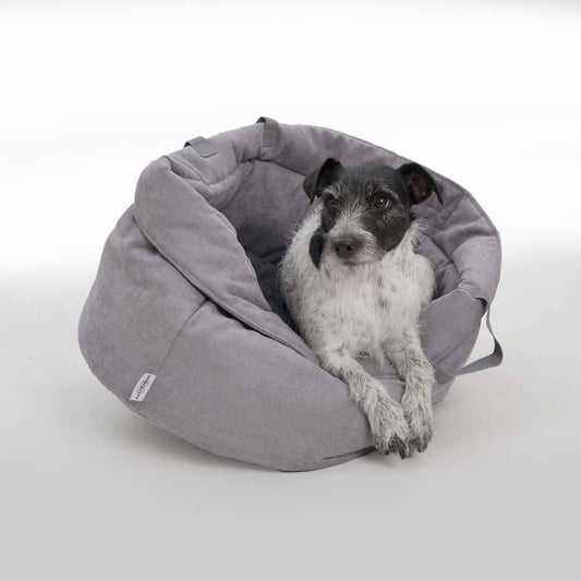 De ideale hondenmand voor kleine honden - BySalu