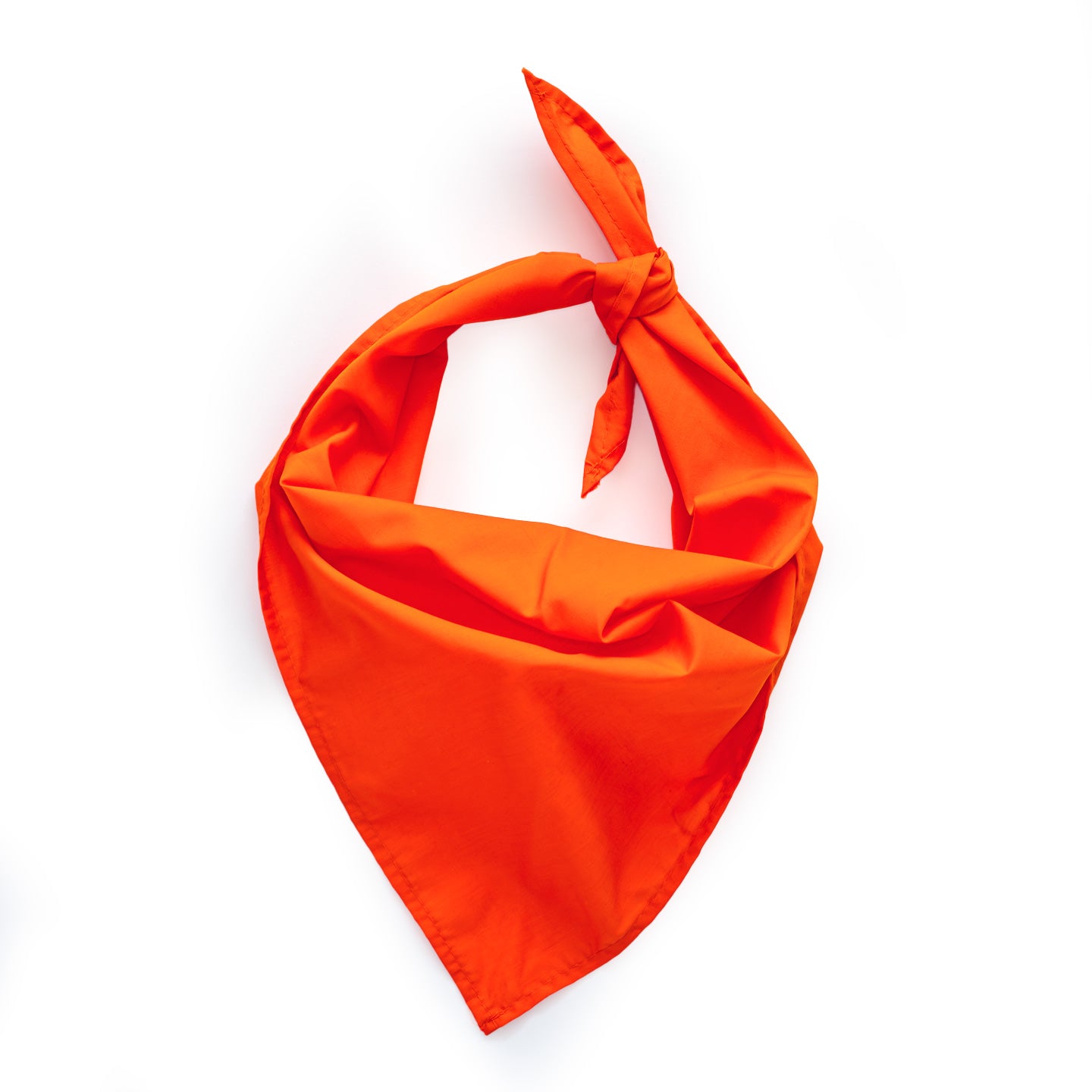 KONINGSDAG bandana voor honden - EIGEN NAAM