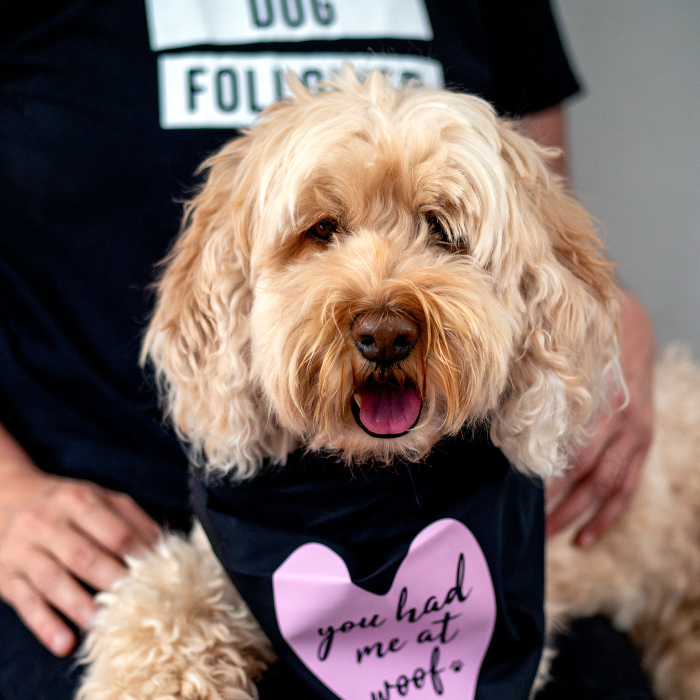 By Salu Honden Bandana you had me at woof!