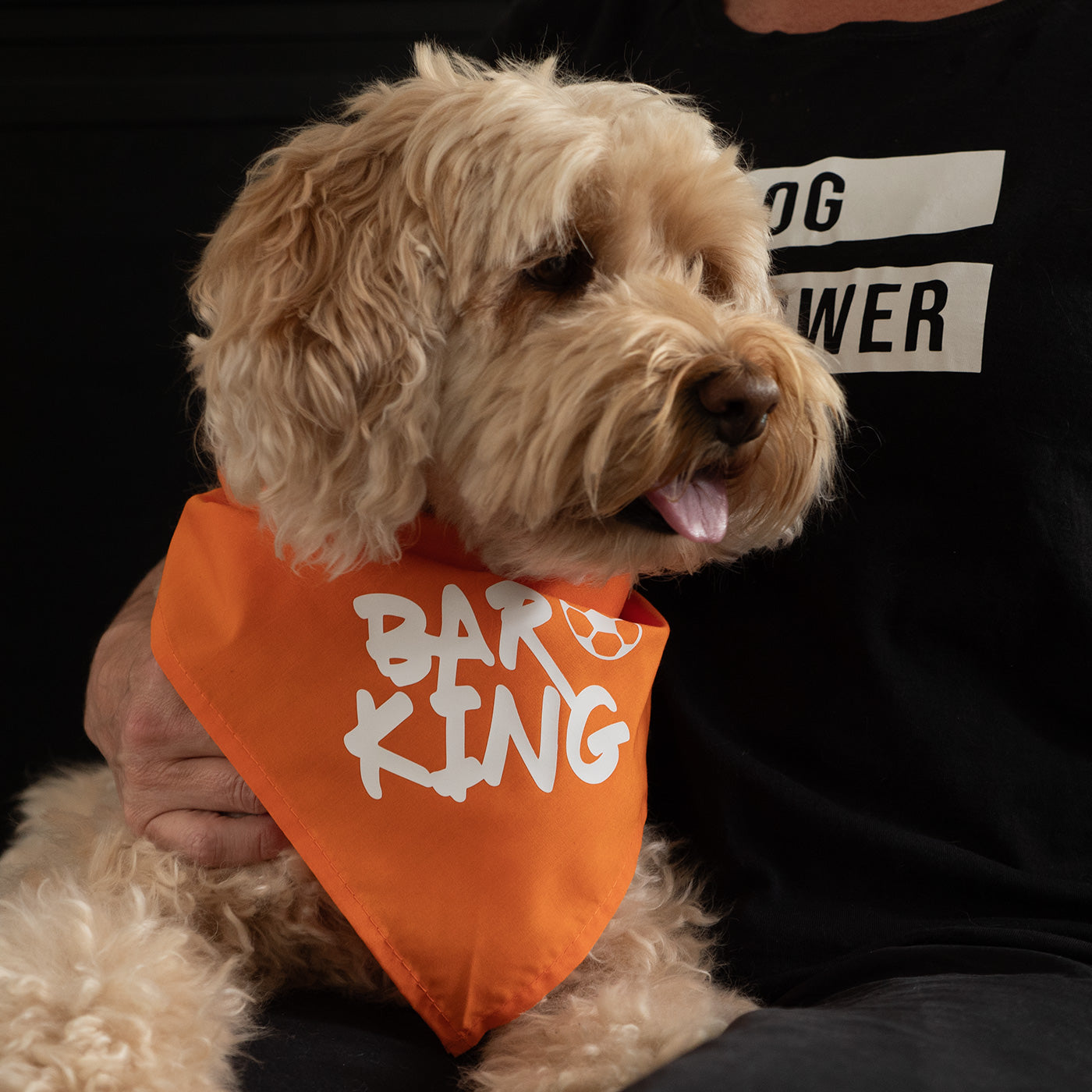 nederlandselftal bandana oranje hond