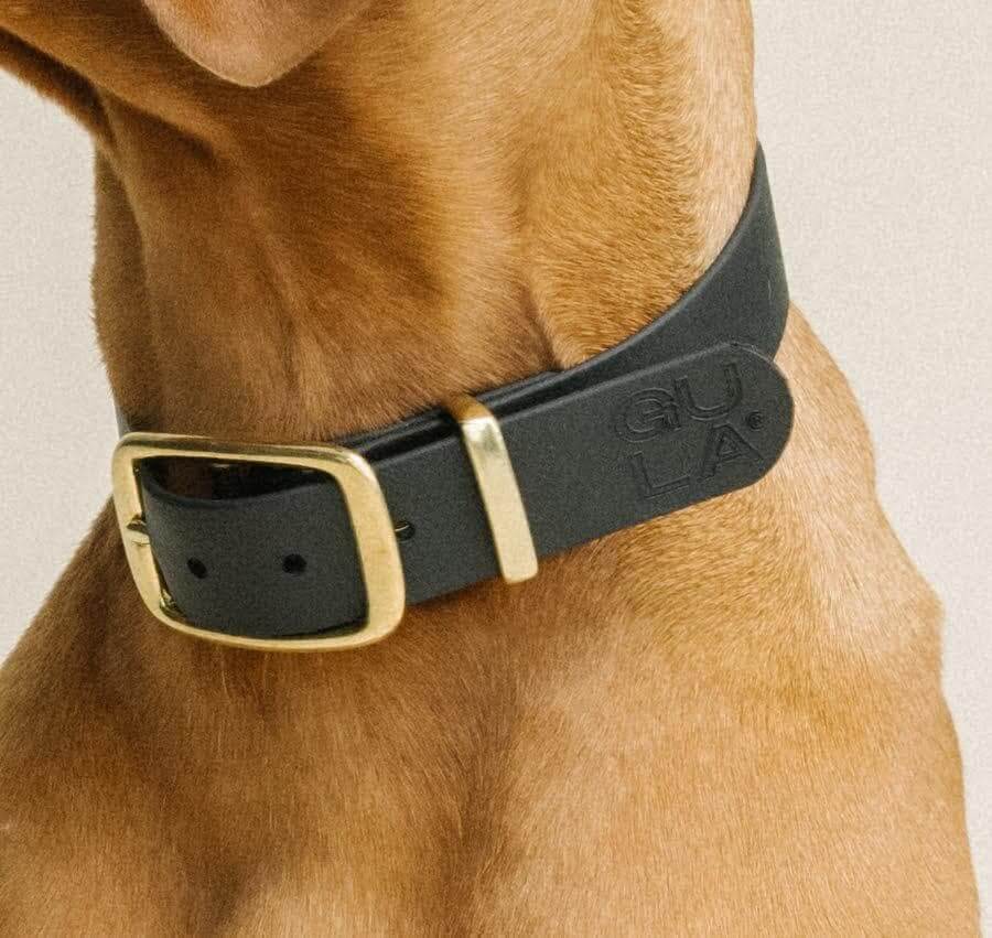 Tough Dog Collar - Black