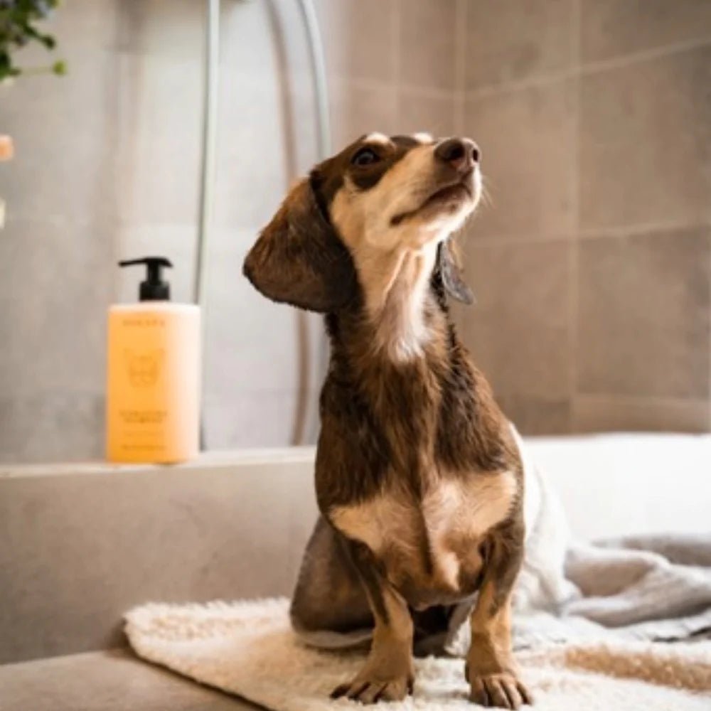 Hydrating Dog Shampoo - By Salu