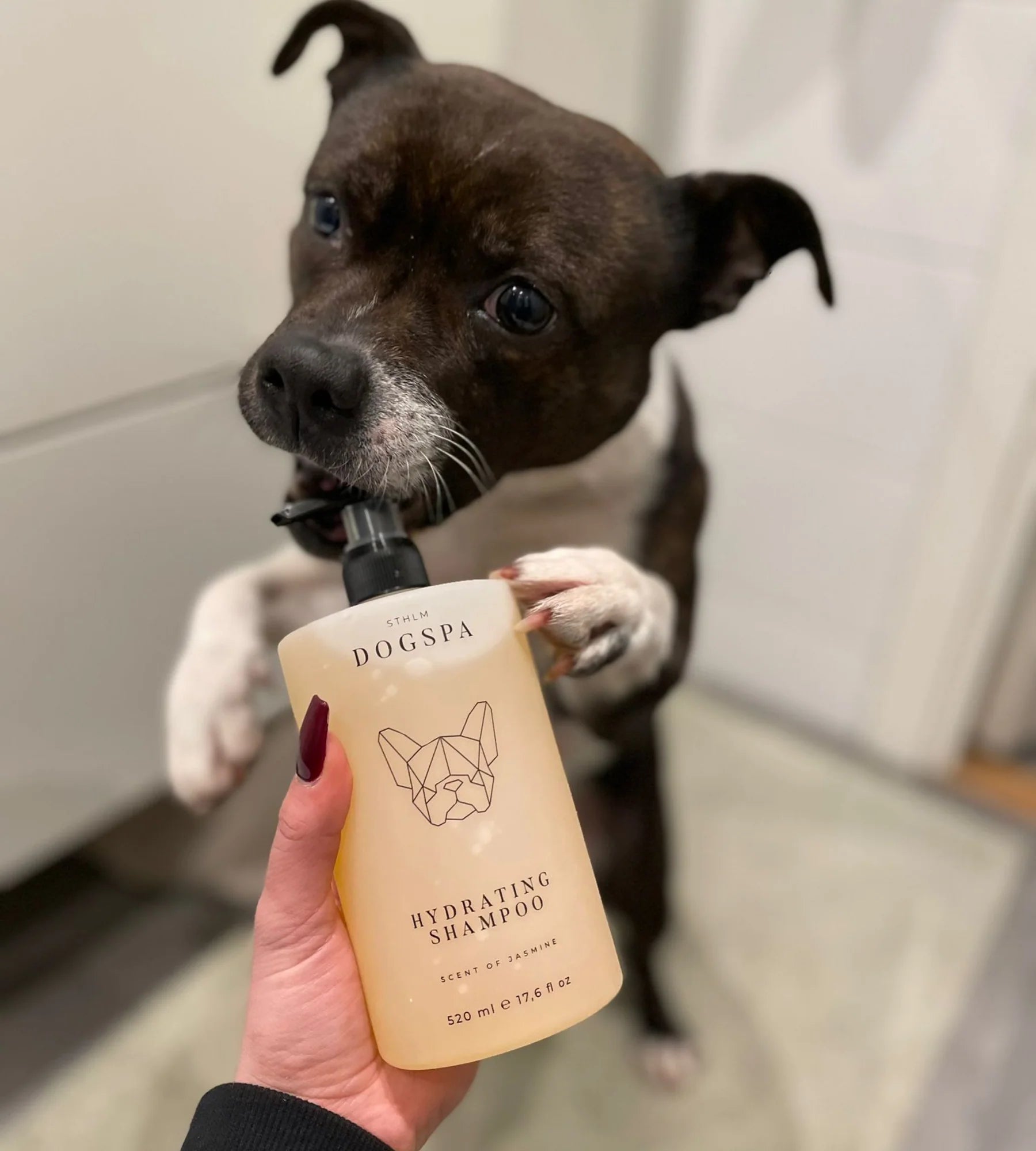 Hydrating Dog Shampoo - By Salu