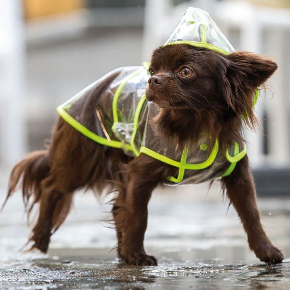 Regenjas voor honden - Dezain - Croci - By Salu