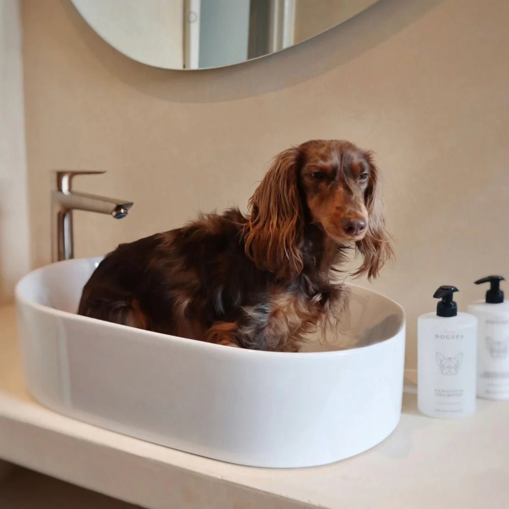 Sensitive Dog Shampoo - By Salu