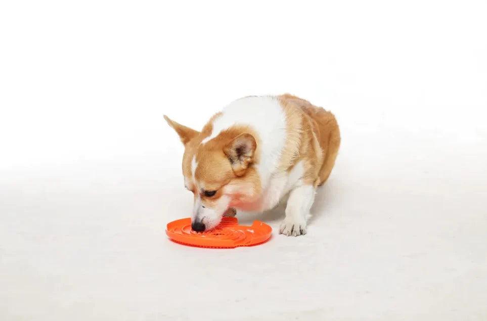 SPIN Interactive Feeder Lick honden frisbee - oranje - By Salu